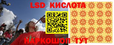стафф Можга
