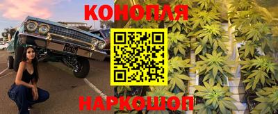 стафф Можга