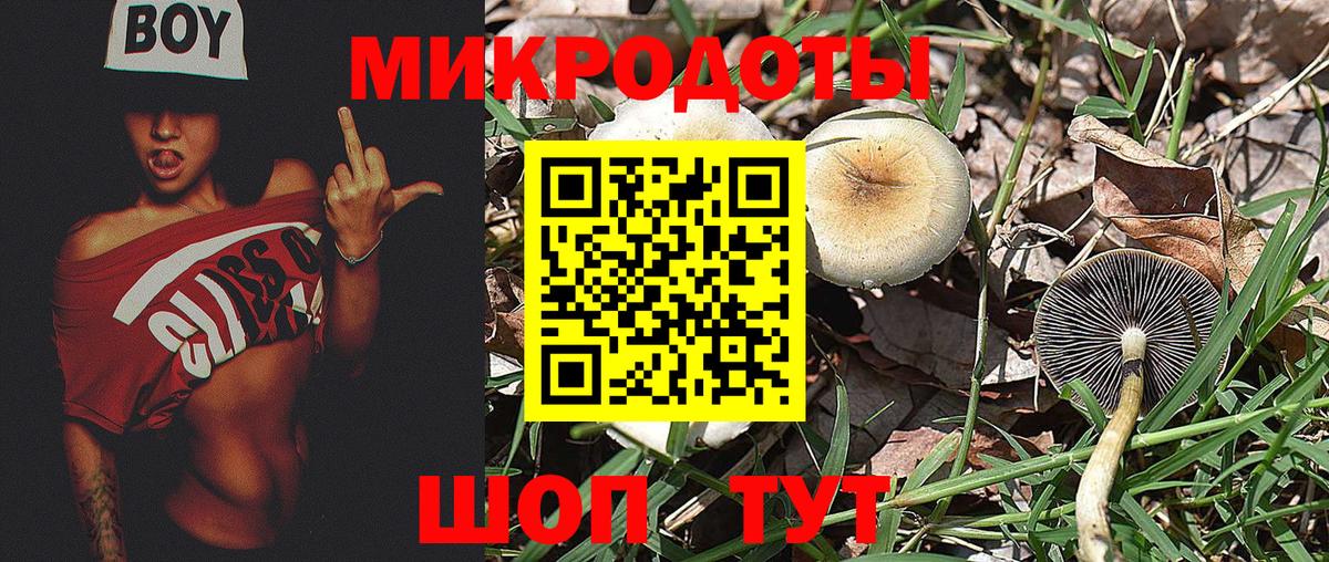 Псилоцибиновые грибы GOLDEN TEACHER  Вход с VPN  Псилоцибиновые грибы Magic Shrooms  Сокол 