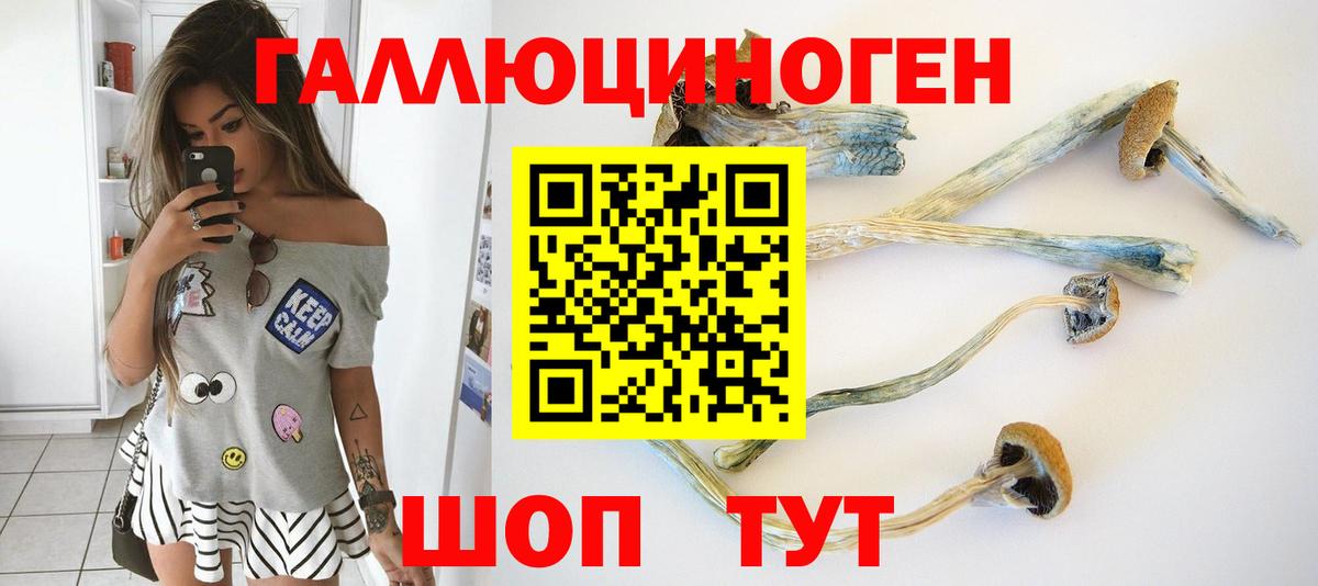 Галлюциногенные грибы мухоморы Сокол